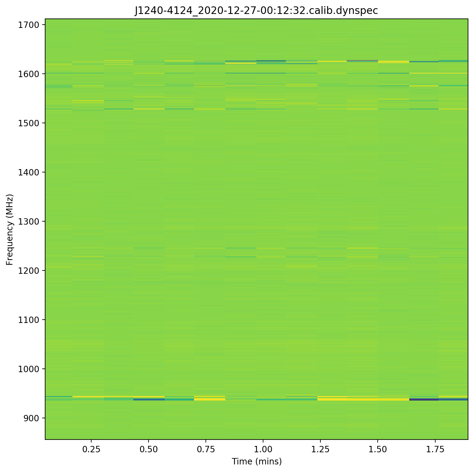 raw_dynamic_spec